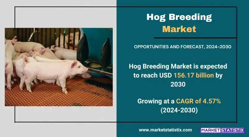 Hog Breeding Market Trends and Insights in Pork Production and Livestock Management