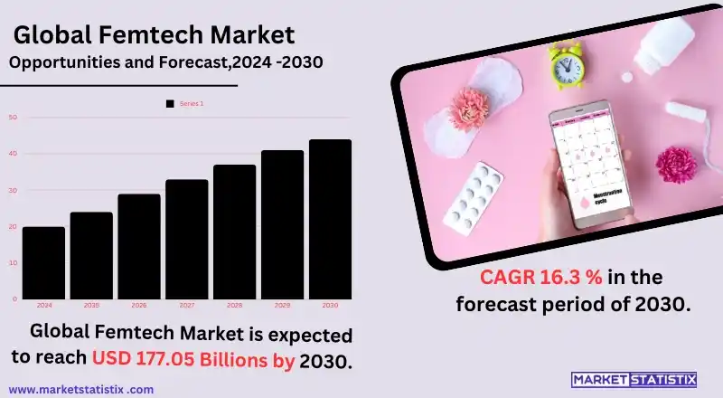 Illustration of the global femtech market, showcasing innovations and growth in women's health technology.