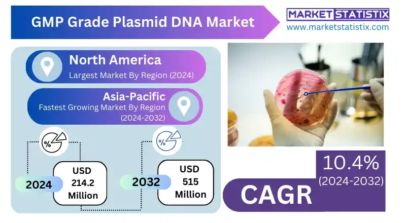 GMP Grade Plasmid DNA Market Overview and Future Prospects